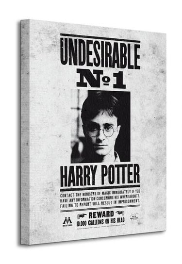 Harry Potter Undesirable No.1 - obraz na płótnie Art Group