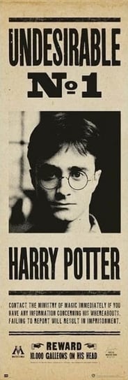 Harry Potter Undesirable - plakat 53x158 cm Grupo Erik