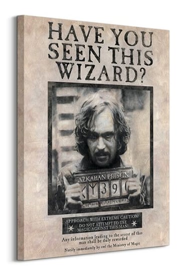 Harry Potter Wanted Sirius Black - obraz na płótnie Pyramid Posters