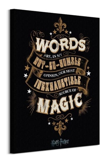 Harry Potter Words - obraz na płótnie Pyramid Posters