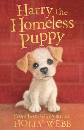 Harry the Homeless Puppy Webb Holly