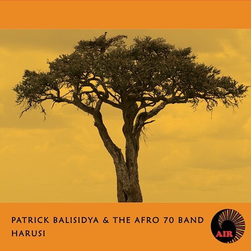 Harusi Afro 70 Band, Patrick Balisidya