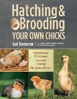 Hatching & Brooding Your Own Chicks Damerow Gail