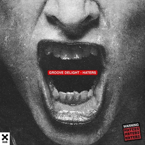 Haters Groove Delight