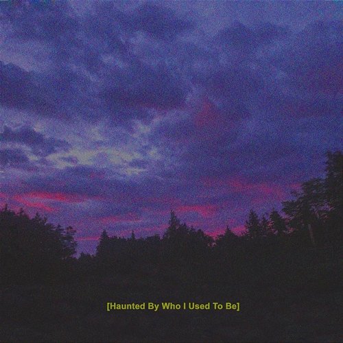 Haunted by Who I Used to Be 4NPlanet feat. Cailyn