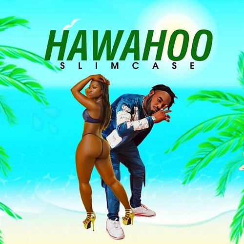 Hawahoo Slimcase