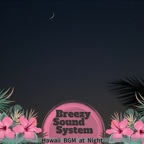 Hawaii Bgm at Night Breezy Sound System
