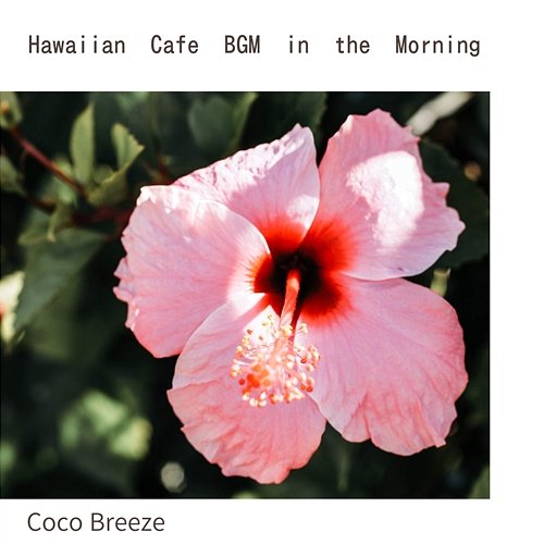 Hawaiian Cafe Bgm in the Morning Coco Breeze