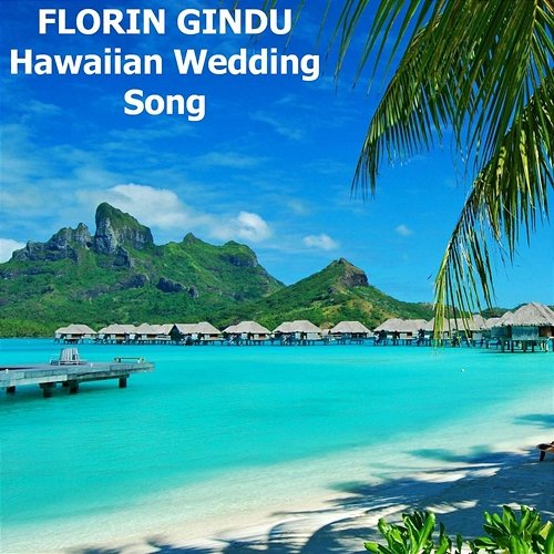 Hawaiian Wedding Song Florin Gindu