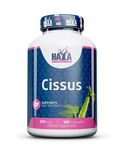 Haya Labs, Cissus 500 mg, 100 kaps. Suplement diety Haya Labs