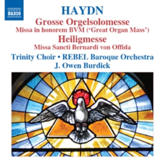 Haydn: Grosse Orgelsolomesse / Hellihmesse Various Artists