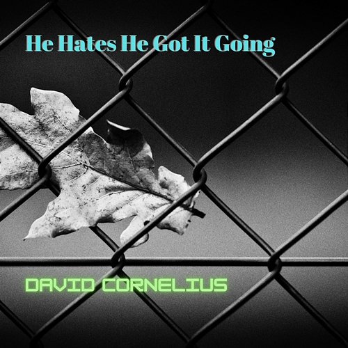 He Hates He Got It Going David Cornelius