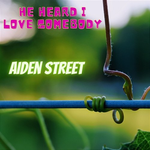 He Heard I Love Somebody Aiden Street