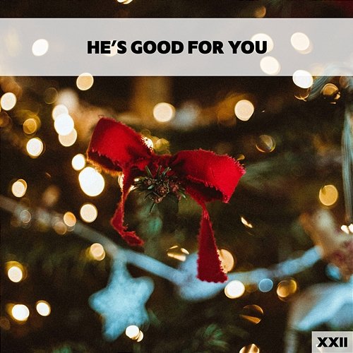 He's Good For You XXII Various Artists