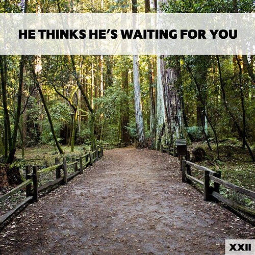 He Thinks He's Waiting For You XXII Various Artists