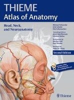 Head, Neck, and Neuroanatomy (THIEME Atlas of Anatomy) Opracowanie zbiorowe