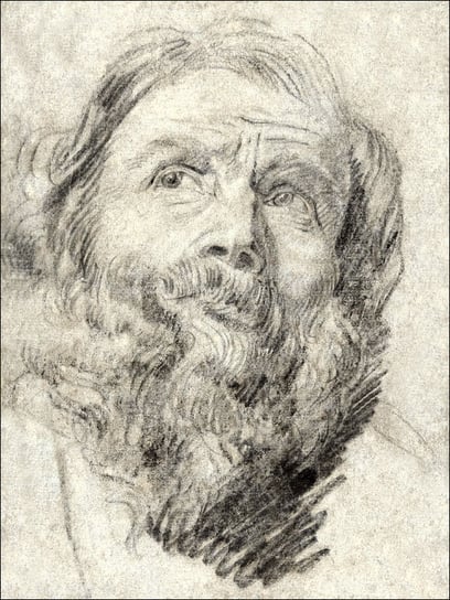 Head of an Apostle, Anthony van Dyck - plakat 20x3 / AAALOE Inna marka