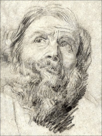 Head of an Apostle, Anthony van Dyck - plakat 70x1 / AAALOE Inna marka