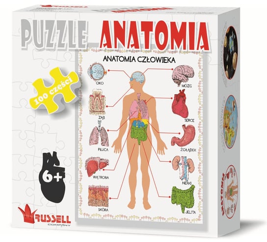 Headu, puzzle, Anatomia, 100 el. Headu