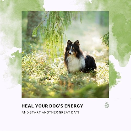 Heal Your Dog's Energy and Start Another Great Day! Various Artists