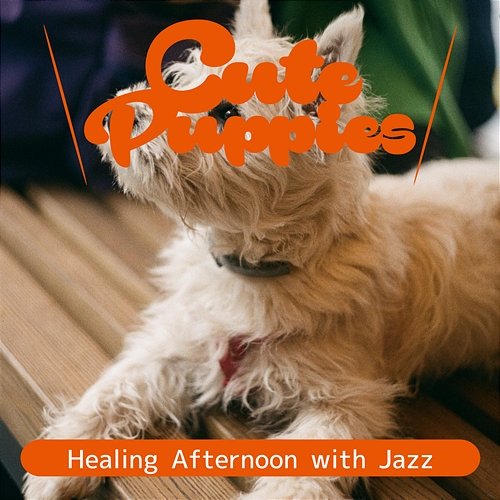 Healing Afternoon with Jazz Cute Puppies