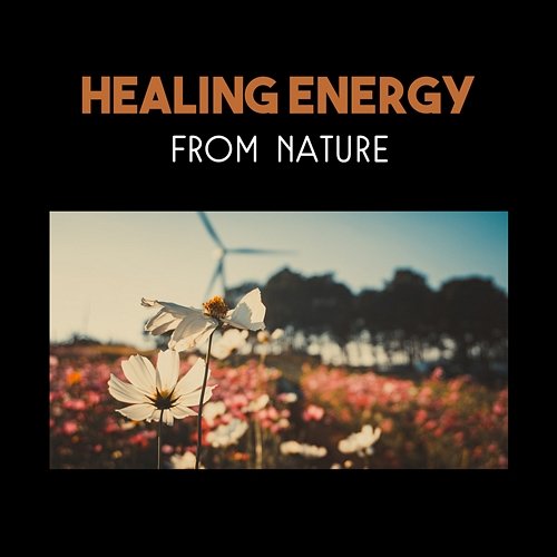 Healing Energy from Nature – Calming Sounds of Nature for Deep Focus, Cool Down, Wellbeing and Relaxation in Zen Garden Various Artists