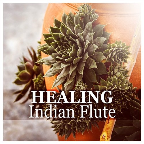 Healing Indian Flute: Nature Sounds, New Age Music and Classical Flute Melodies for Massage, Yoga, Zen, Spa, Relaxation, Study, Reiki, Leisure, Sleep Relaxing Flute Music Zone