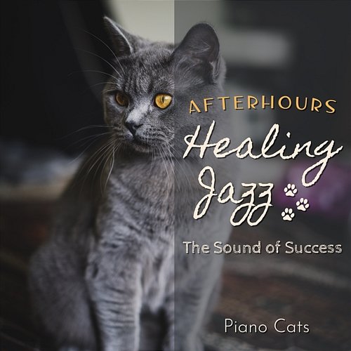 Healing Jazz: Afterhours - The Sound of Success Piano Cats