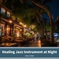 Healing Jazz Instrument at Night Chilly Ride