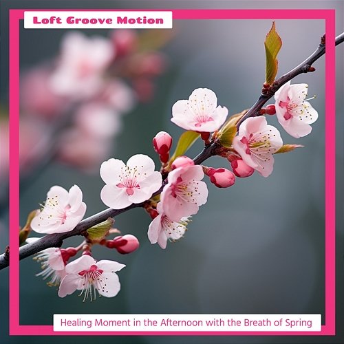 Healing Moment in the Afternoon with the Breath of Spring Loft Groove Motion