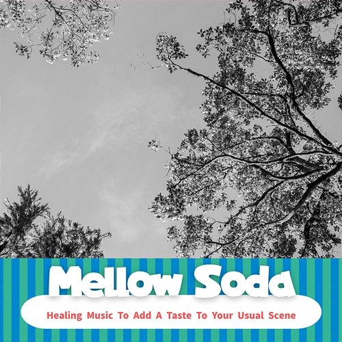 Healing Music to Add a Taste to Your Usual Scene Mellow Soda