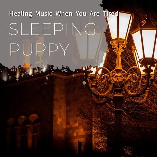 Healing Music When You Are Tired Sleeping Puppy