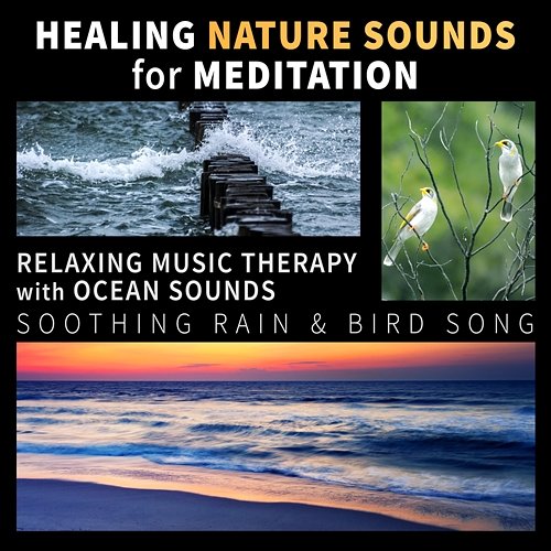 Healing Nature Sounds for Meditation: Relaxing Music Therapy with Ocean Sounds, Soothing Rain & Bird Song, Sounds of Nature for a Quiet Mind Healing Power Natural Sounds Oasis
