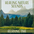 Healing Nature Sounds: Relaxing Time for Mindfulness Meditation, Serenity Music, Ocean Waves, Birds Zen Natural Sounds