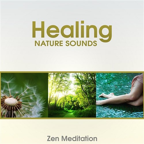 Healing Nature Sounds: Zen Meditation – Deep Contemplation, Relaxing Music After Hard Day and Sleep Problem, Sounds of Zen Garden, Serenity Zen Soothing Sounds of Nature