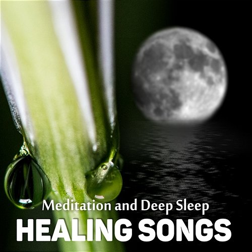 Healing Songs for Meditation and Deep Sleep: Relaxing Nature Sounds and Asian Ambient Music Serenity Music Relaxation
