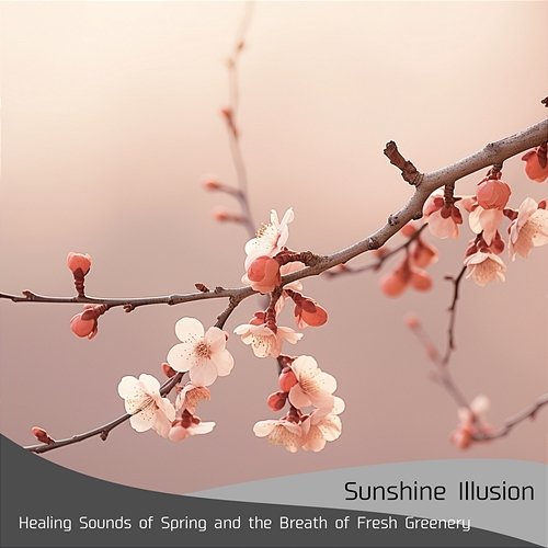 Healing Sounds of Spring and the Breath of Fresh Greenery Sunshine Illusion