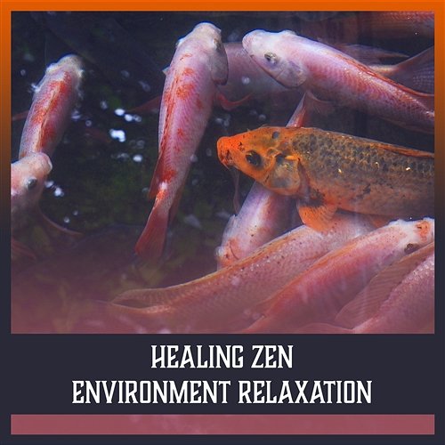 Healing Zen Environment Relaxation – Liquid Meditation Music, Natural Relaxing Ambiences, Mantra Yoga for Peaceful Mind, Oasis of Calmness Zen Relaxation Academy