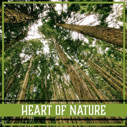 Heart of Nature: Relaxation & Meditation Natural Music, Sound of Birds, Ocean Waves, Rain, River, Wind, Crickets & Waterfall Yoga Training Music Sounds