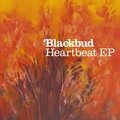 Heartbeat Blackbud