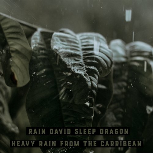 Heavy Rain from the Caribbean Rain David Sleep Dragon