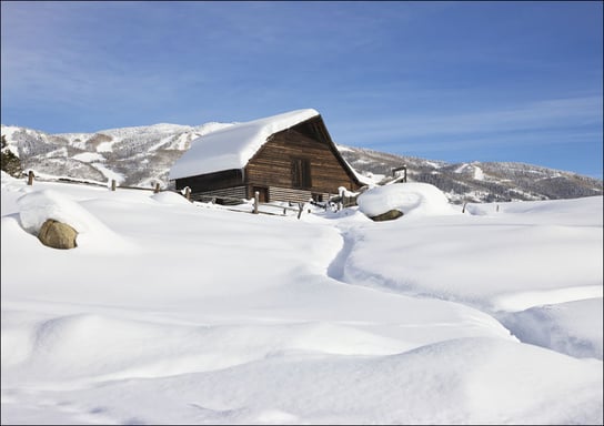 Heavy snow surrounds and lies a top a cabin in Steamboat Springs, Colorado., Carol Highsmith - plakat 84,1x59,4 cm Galeria Plakatu