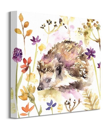 Hedgehog - obraz na płótnie Art Group