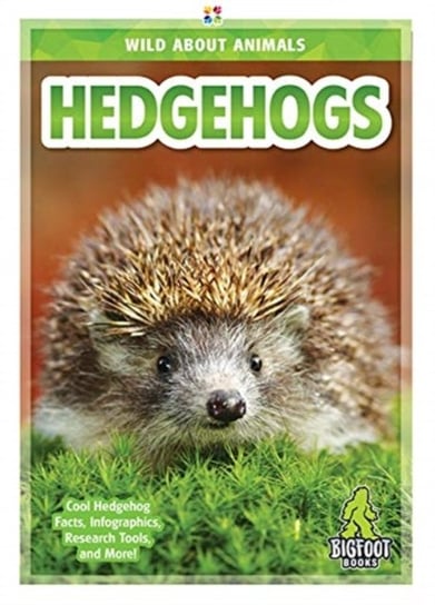 Hedgehogs Emma Huddleston