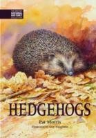 Hedgehogs Morris Pat