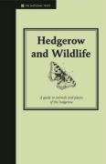 Hedgerow and Wildlife Eastoe Jane