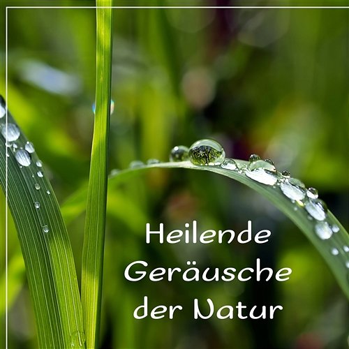 Heilende Geräusche der Natur: Musik für Yoga, Meditationsmusik, Musiktherapie, Tiefschlaf, Reiki Heilung Spa, Massage, Stress Reduzieren, Inneren Frieden Meditationsmusik Sammlung