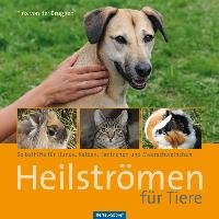 Heilströmen für Tiere Bruggen Tina