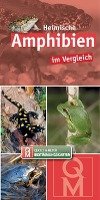 Heimische Amphibien im Vergleich Quelle + Meyer, Quelle&Meyer
