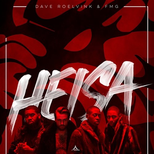 Heisa Dave Roelvink, FMG